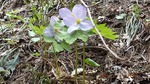 DSCF0508.jpg