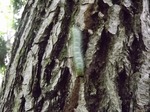 DSCF0534.jpg