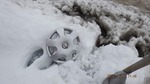 DSCF0537.jpg