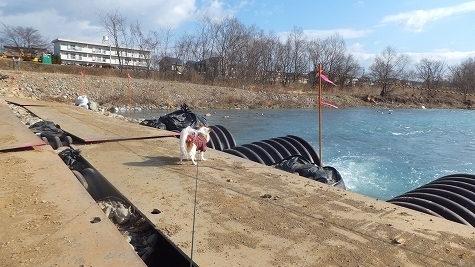 DSCF0538.jpg