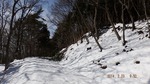 DSCF0538.jpg