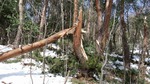 DSCF0539.jpg