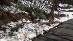 DSCF0540.jpg