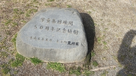 DSCF0552.jpg