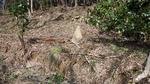 DSCF0563.jpg