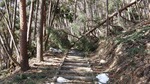DSCF0564.jpg