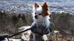 DSCF0566.jpg