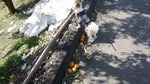 DSCF0569.jpg