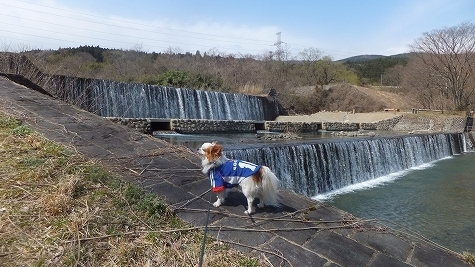 DSCF0572.jpg