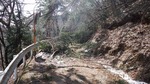 DSCF0585.jpg