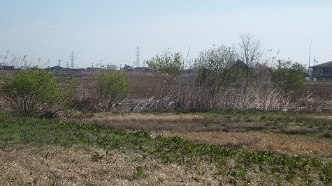 DSCF0586.jpg