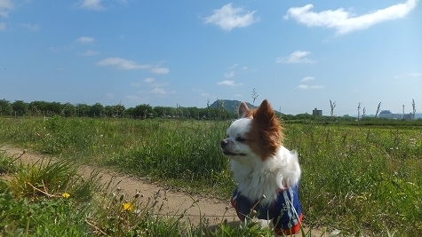 DSCF0608.jpg