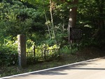 DSCF0611.jpg