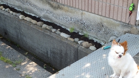 DSCF0617.jpg