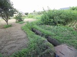 DSCF0617.jpg