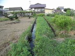 DSCF0619.jpg
