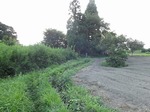 DSCF0620.jpg