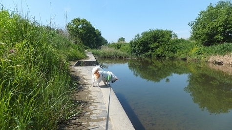 DSCF0621.jpg