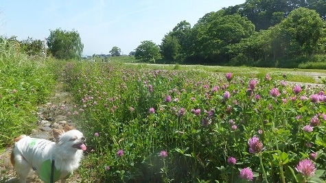 DSCF0630.jpg