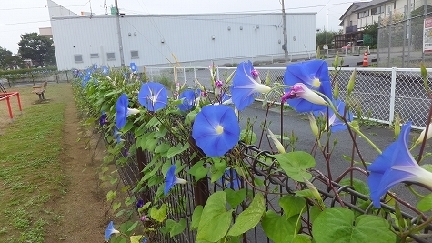 DSCF0639.jpg