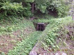 DSCF0652.jpg