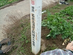 miura-hi