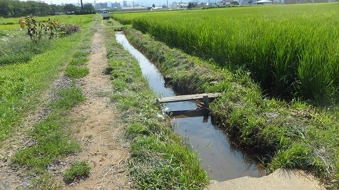 DSCF0654.jpg
