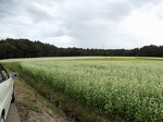 DSCF0664.jpg