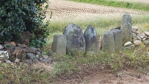 DSCF0686.jpg