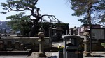 DSCF0686.jpg