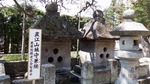 DSCF0687.jpg