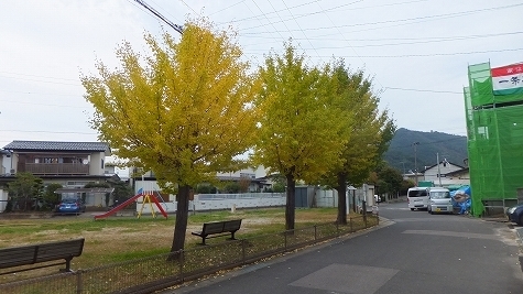 DSCF0687.jpg