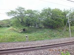 DSCF0687.jpg