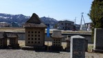 DSCF0688.jpg