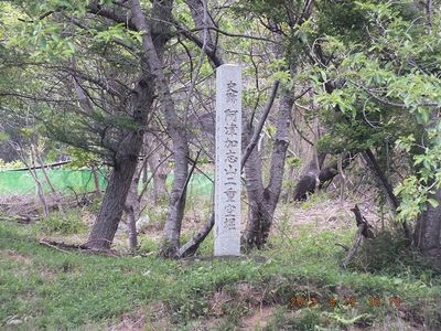 DSCF0689.jpg