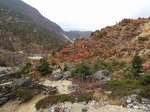 DSCF0690.jpg