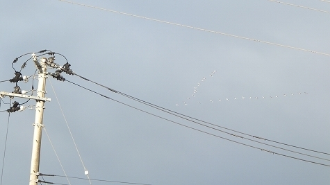 DSCF0694.jpg