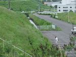 DSCF0702.jpg