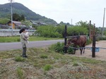 DSCF0704.jpg