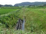 DSCF0709.jpg