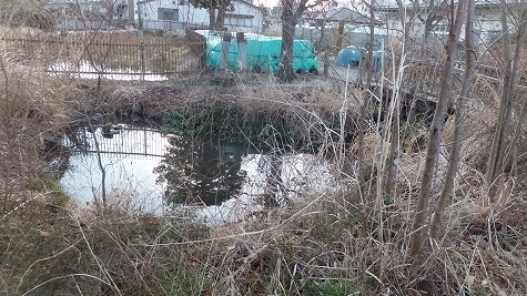 DSCF0719.jpg