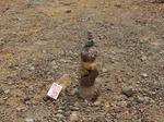 DSCF0720.jpg