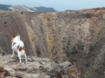 DSCF0725.jpg