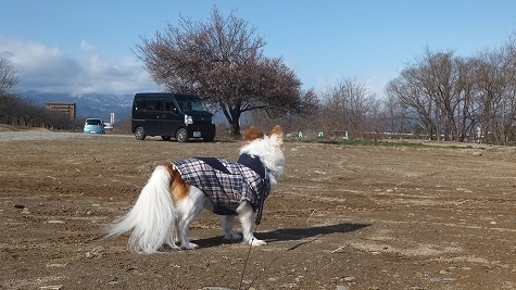 DSCF0739.jpg