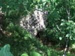 DSCF0743.jpg