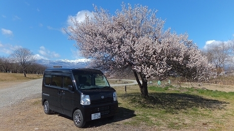 DSCF0754.jpg
