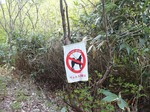 DSCF0754.jpg