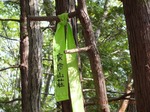 DSCF0757.jpg