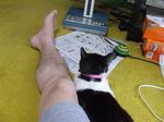DSCF0757.jpg