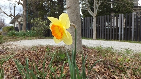 DSCF0766.jpg